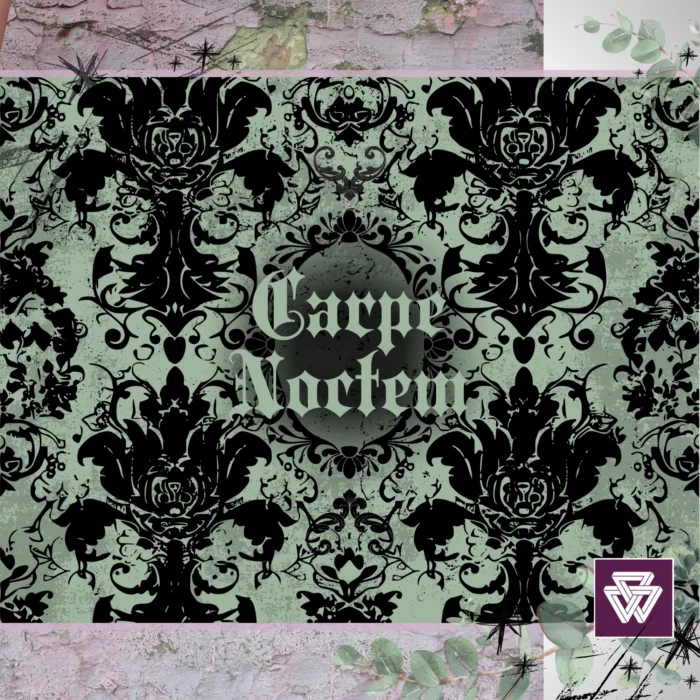 Carpe Noctem Custom Printed Blanket | Gothic Rose Grungy Lace - Image 2